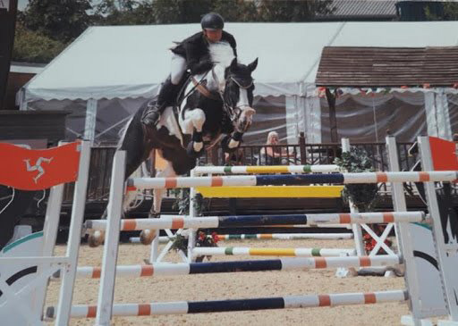 High Offley Fernando (Kannan x Samber) - Coloured Showjumping Stallion